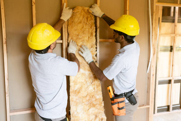 Best Eco-Friendly or Green Insulation Solutions in Globe, AZ