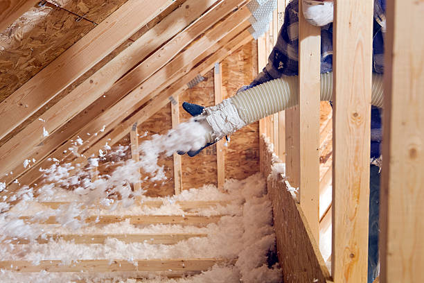 Best Insulation Air Sealing in Globe, AZ